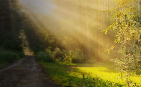 Place à Perspectives juridiques