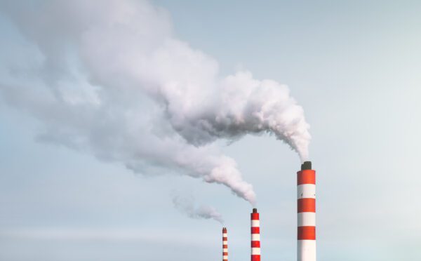 A Trojan Horse at the gates: Alberta Court of Appeal finds federal carbon tax unconstitutional