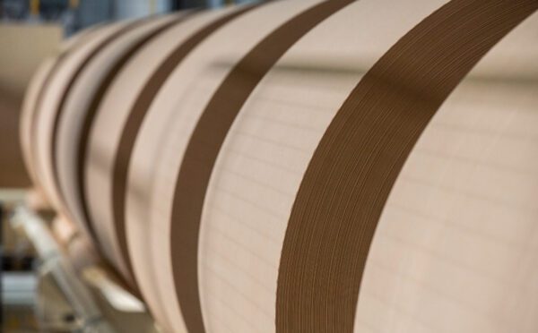 Quebec Court of Appeal provides decision on loss consolidation transactions