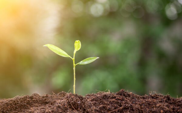 Green claims can be risky business: prospect of greater enforcement on the horizon