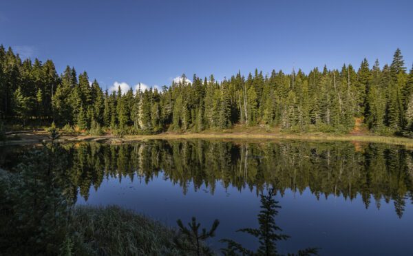 Creating partnerships with Indigenous communities