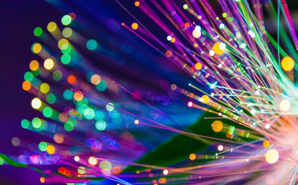 2023 Diversity Disclosure Practices