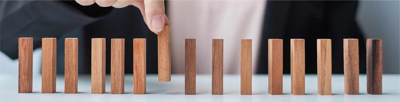 small finger-sized wooden pillars stood upright in a row