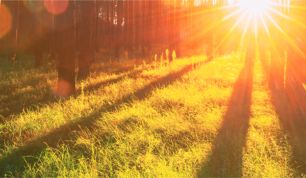 La transition énergétique ouvre la voie à des demandes d’indemnisation fondées sur la réorientation des plans d’aménagement du territoire