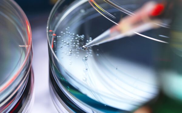 Six Osler lawyers recognized by Who’s Who Legal Life Sciences — Canada