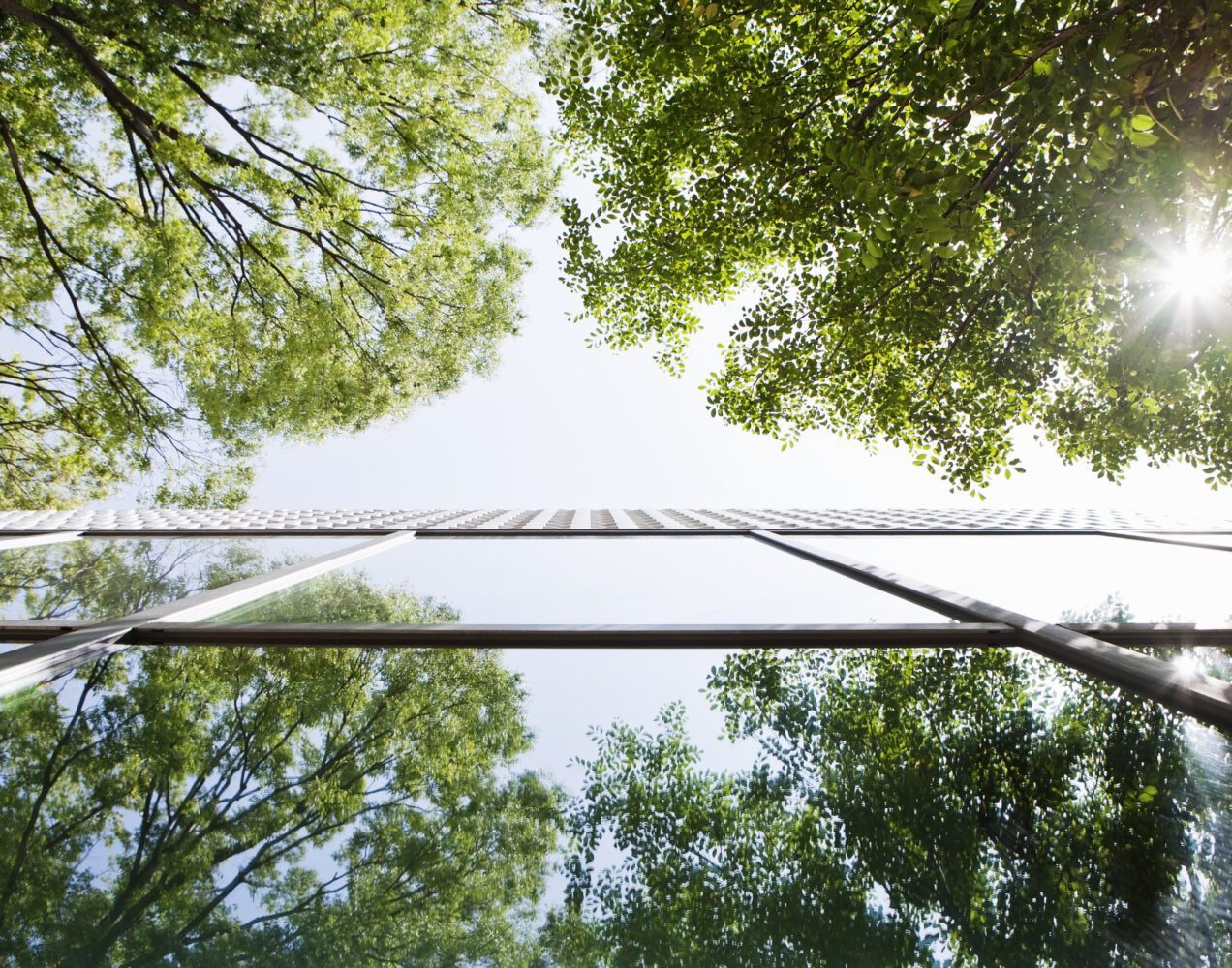 Deceptive marketing practices 