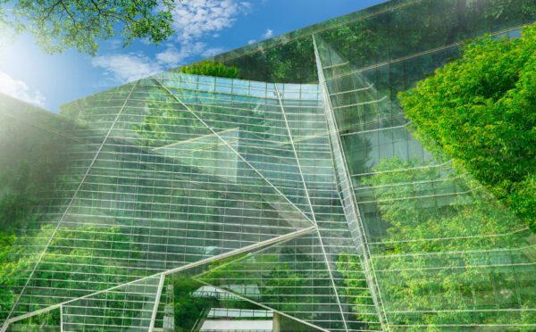 The past, present and future of green claims: key insights for practitioners and businesses