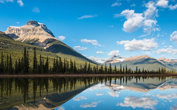 Canada’s Modern Slavery Act: what businesses need to know