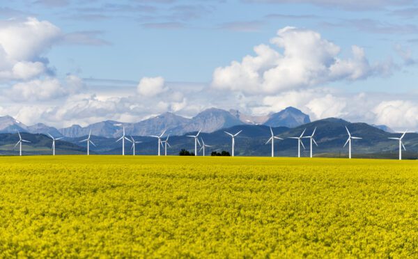 AUC inquiry update: Alberta to declare no-build zones and mandatory reclamation security requirements for renewable energy projects