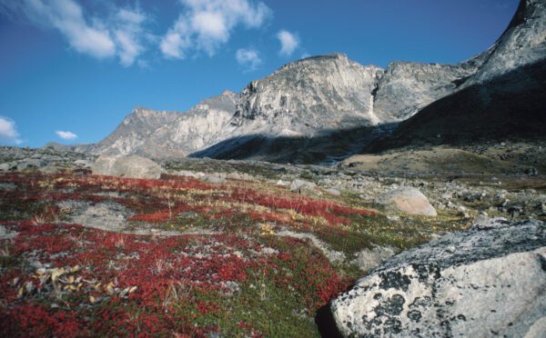 Nunavut to take control of Crown land within territory following devolution agreement with Canada