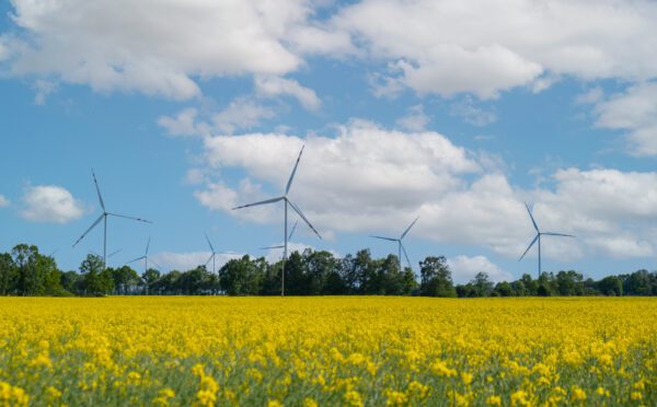 Energy transition and the opportunity for Canada to be an ‘energy superpower’