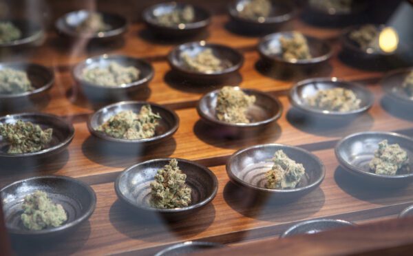 Cannabis in safety sensitive positions: guidance from the Alberta Court of King’s Bench