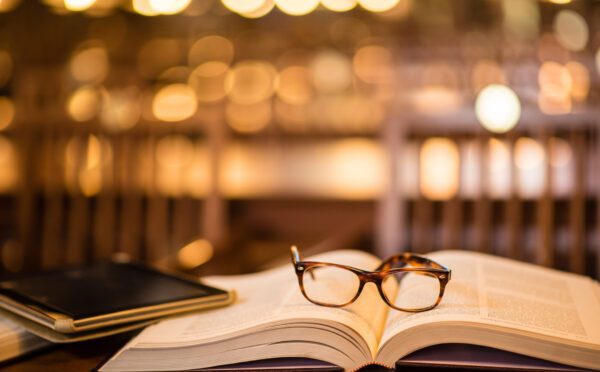 Legislative Update Report No. 2025-23 Le Bulletin d’actualités législatives