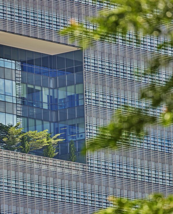 Garden in skyscraper with trees