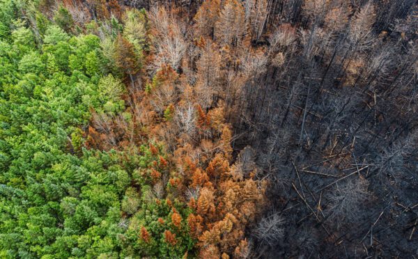 CSSB issues final framework for voluntary climate-related disclosures