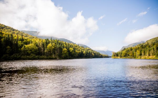 Hydro-Québec held liable under principle of honour of the Crown