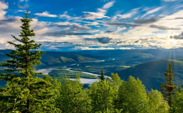 Recent developments in Aboriginal title