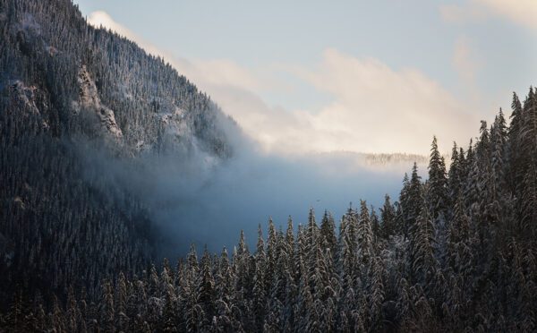 Key legal updates on Aboriginal rights