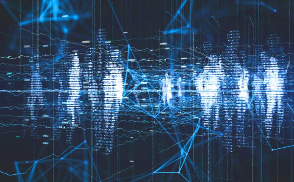 Privacy litigation: key importance of consent