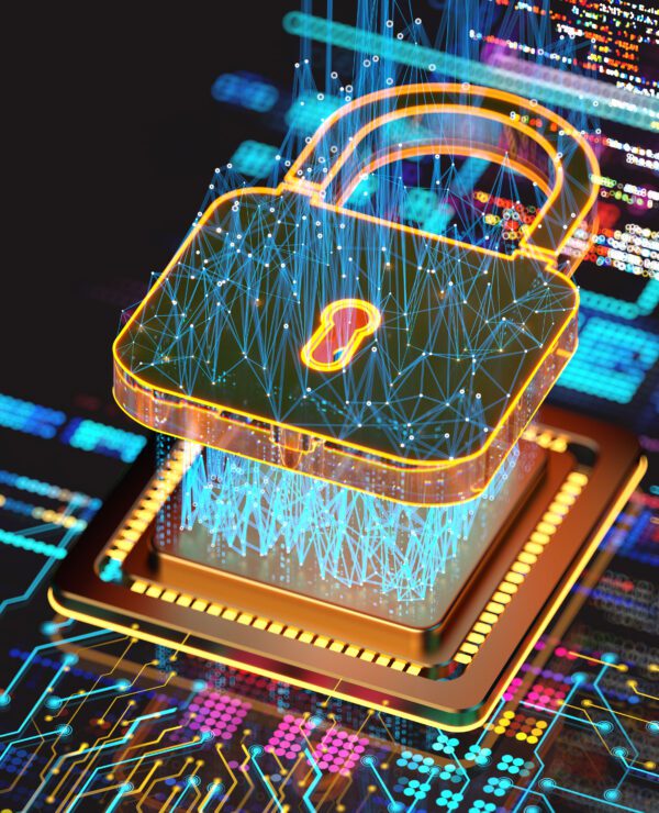 Osler Privacy Jurisprudence Review