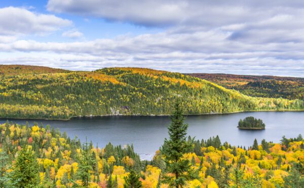 Québec adopts Bill 81, amending most of the province’s environmental laws