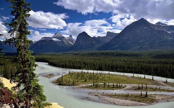 Alberta Energy Regulator finds Athabasca River Basin is not a ‘person’