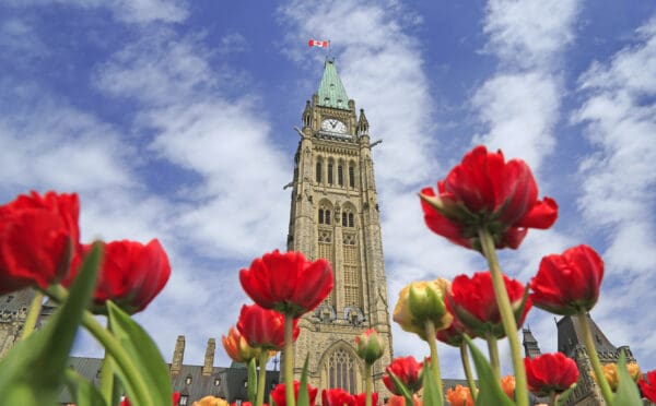 Mise à jour économique du printemps de 2026